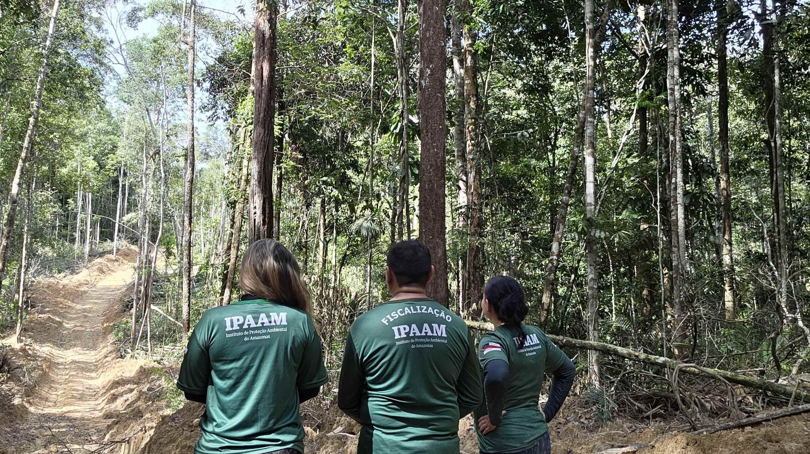 Ipaam Encerra Defeso Florestal 2026 e Retoma Manejo Sustentável no Amazonas
