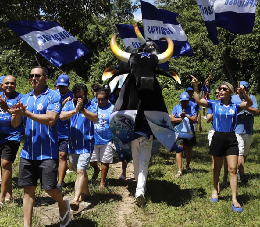 Boi Caprichoso marca Parananema como território azulado em Parintins