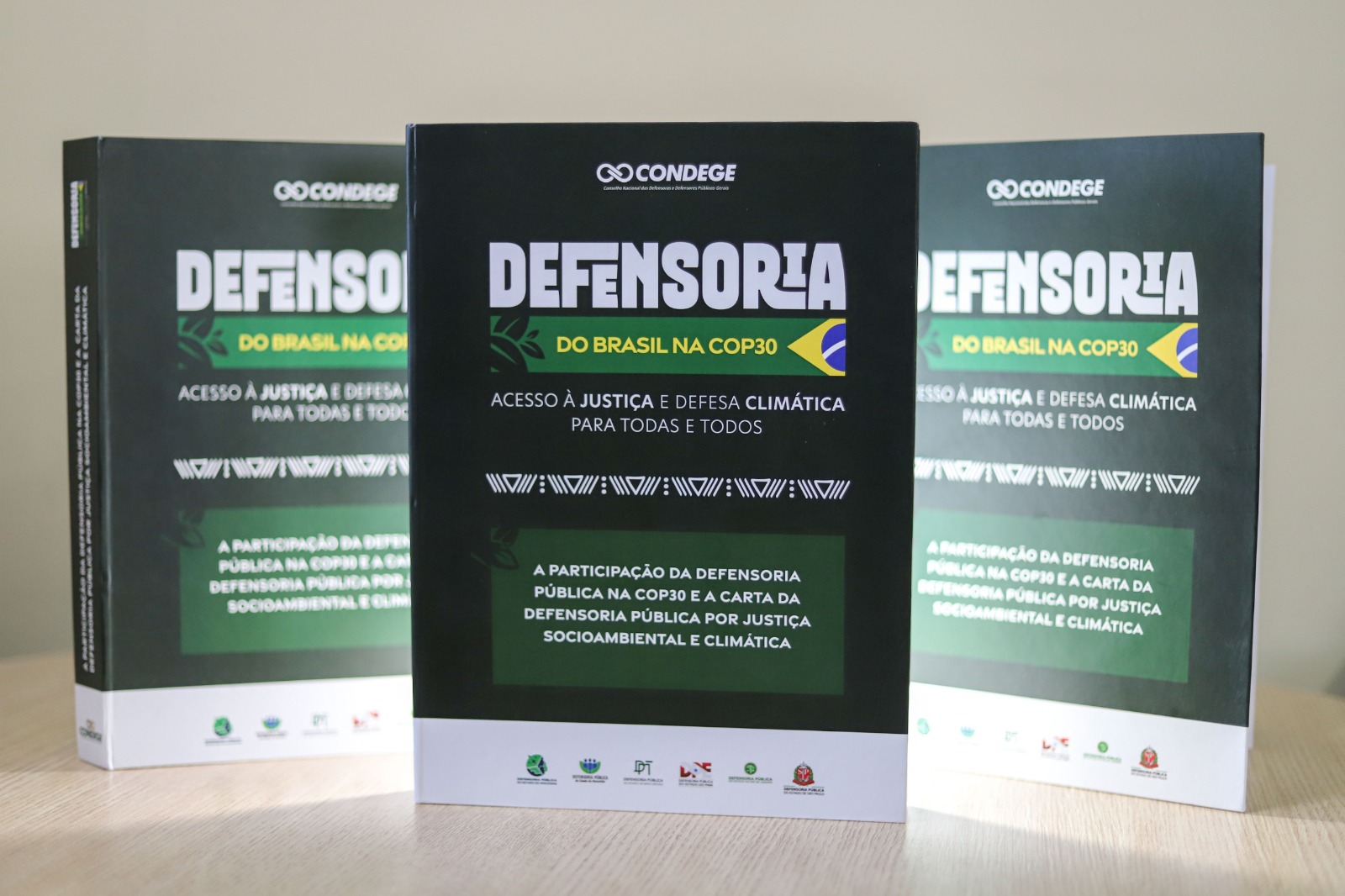 Defensoria do Amazonas destaca justiça climática