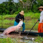 Reserva Mamirauá completa 30 anos na Amazônia