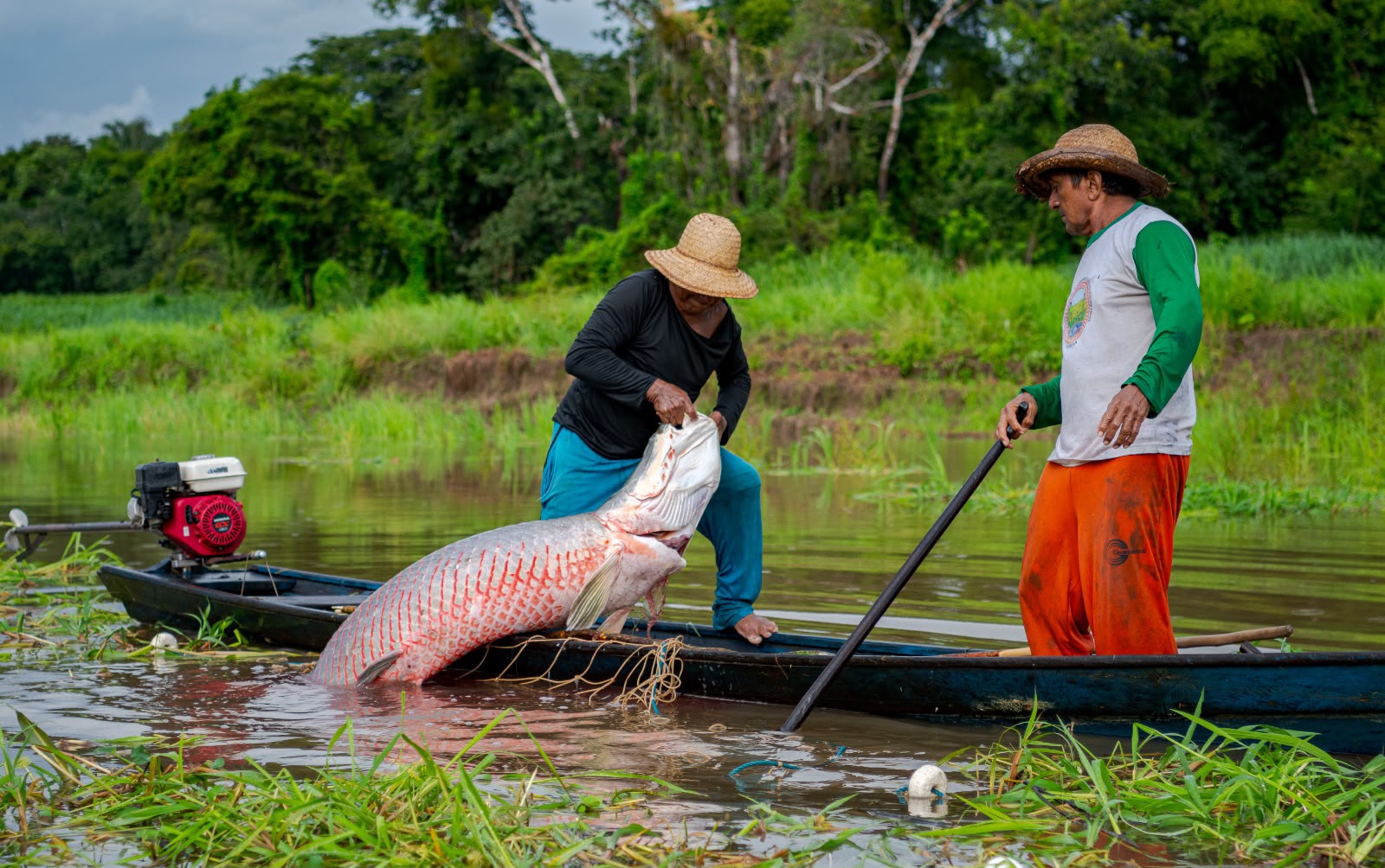 Reserva Mamirauá completa 30 anos na Amazônia