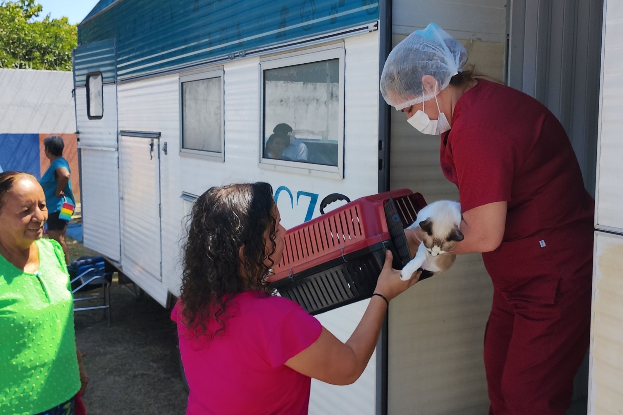 Castração gratuita de cães e gatos em Manaus tem novas vagas pelo CCZ