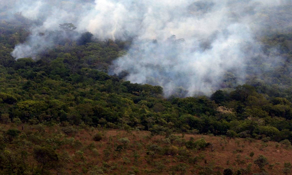 Copernicus aponta queda histórica nas emissões por incêndios