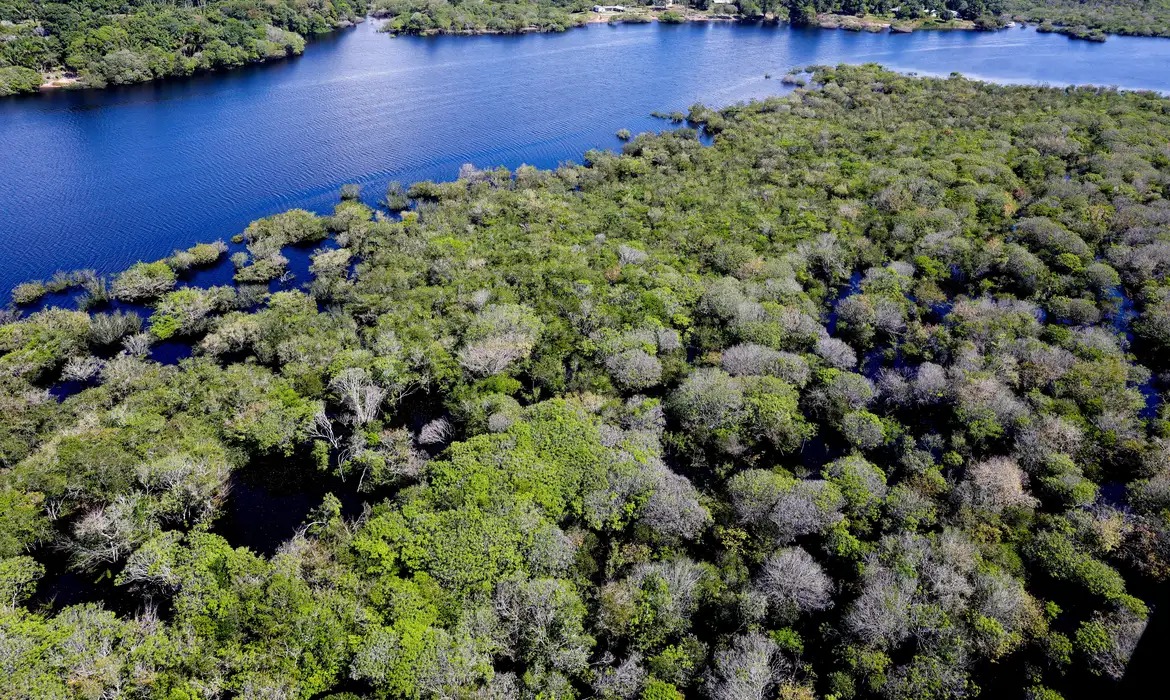 Desmatamento na Amazônia tem queda de 35% em junho