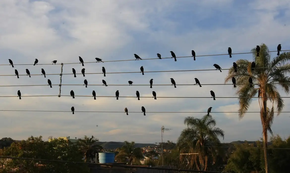 Fotografia de Paulo Pinto inspira campanha vencedora do Leão de Ouro