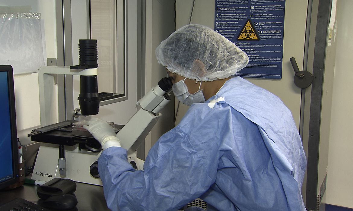 HIV: dois pacientes entram em remissão após transplante