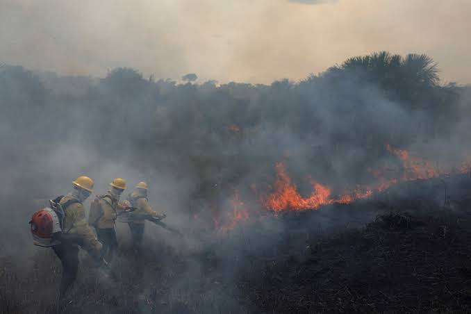 Amazonas reduz queimadas em até 93% com estratégia de prevenção ambiental
