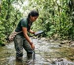 Raiz Empreendedora fortalece bioeconomia amazônica