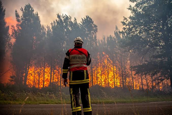 Incêndios na França revelam 400 projéteis da Segunda Guerra