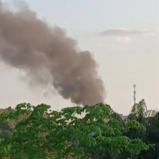 Incêndio destrói mata no Distrito Industrial de Manaus